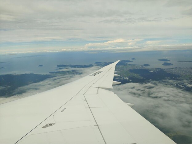 Phone (3)で撮影:翼