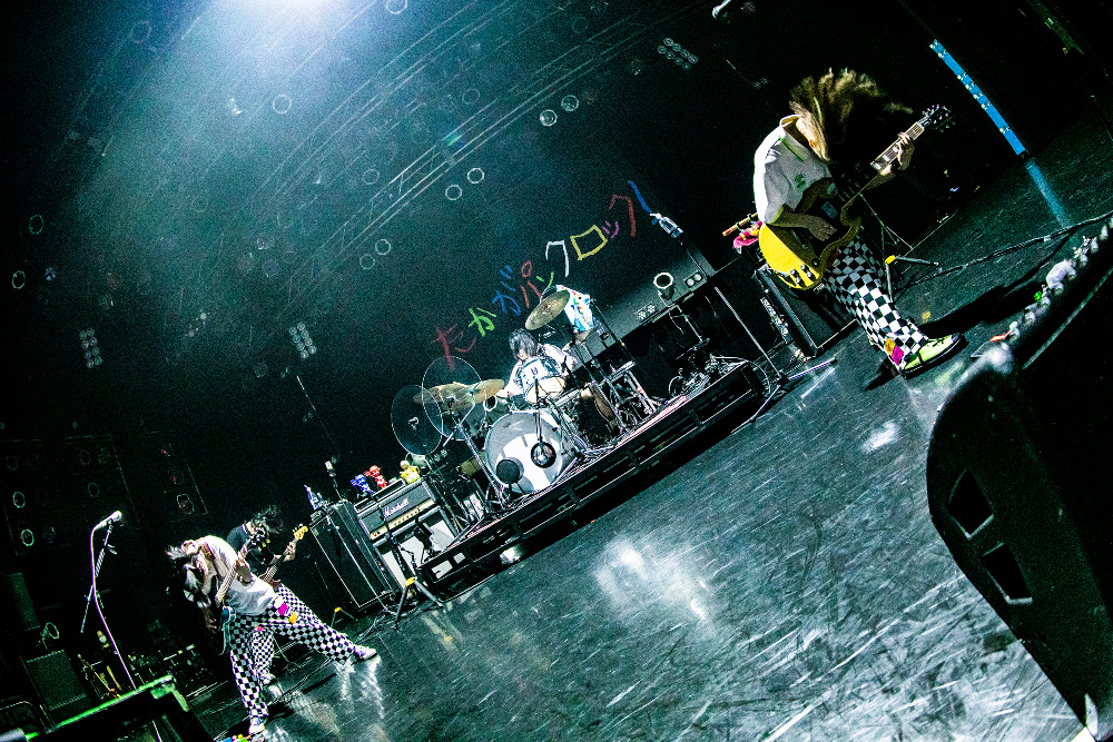 サバシスター ライブ写真