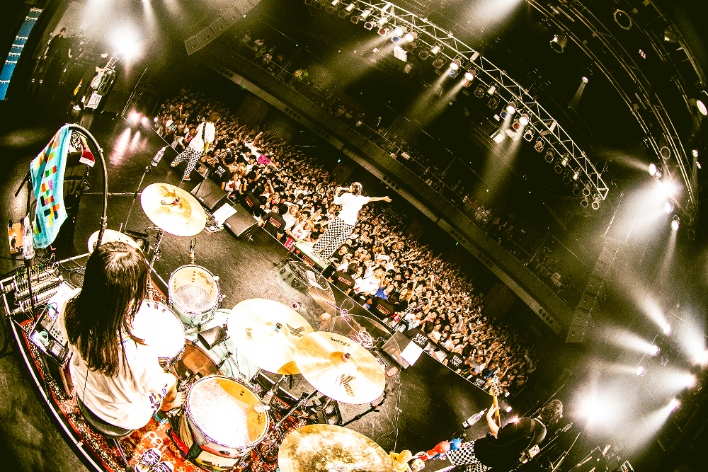 サバシスター ライブ写真