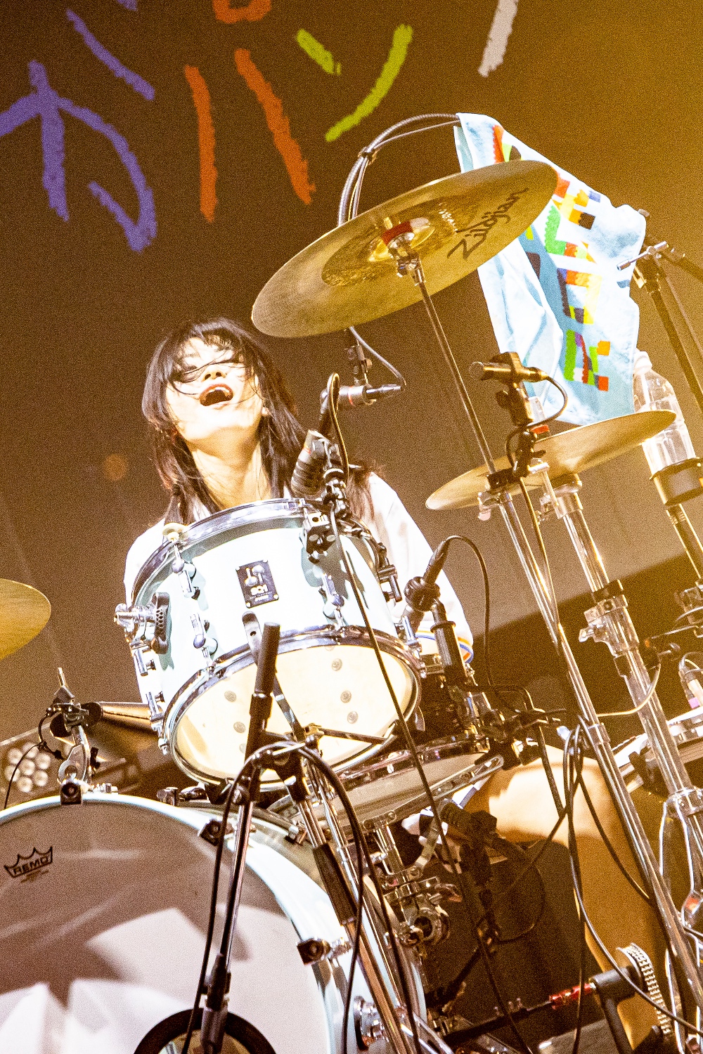 サバシスター ライブ写真