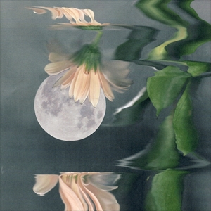 優河「あわい」ジャケット写真