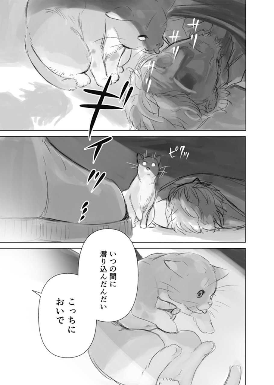 【漫画】猫と二人、終末世界で何をする？の画像