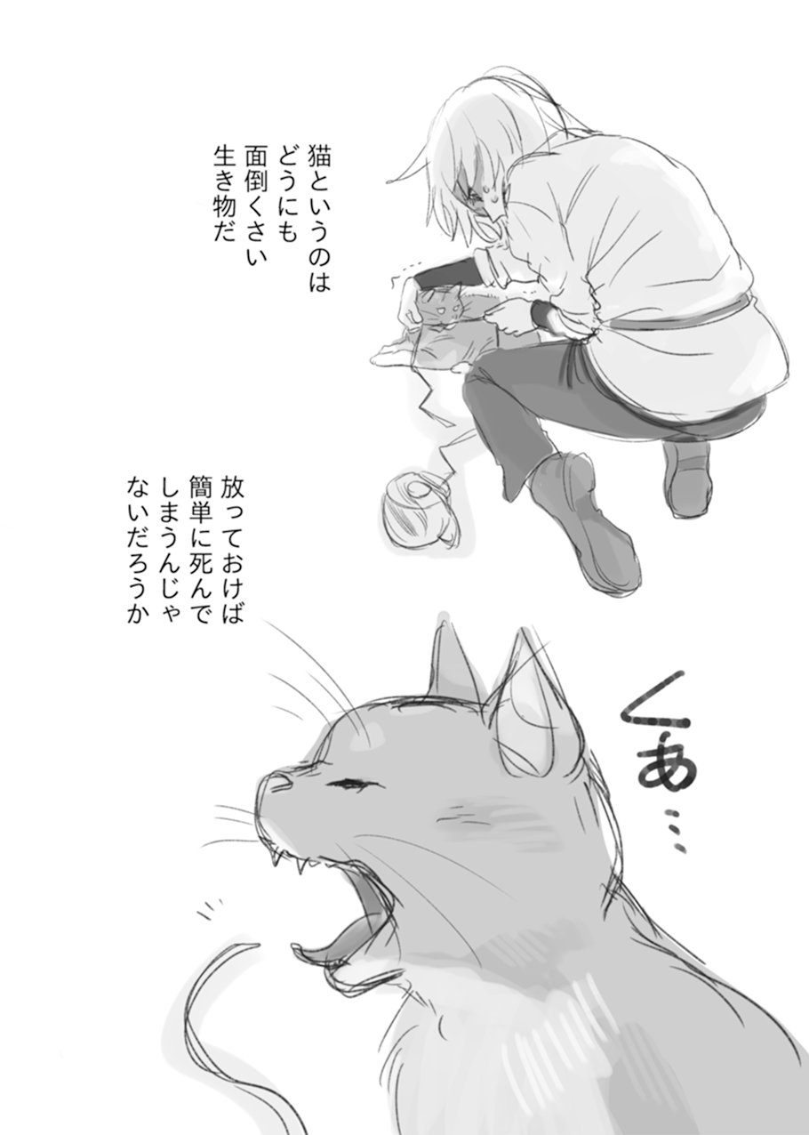 【漫画】猫と二人、終末世界で何をする？の画像