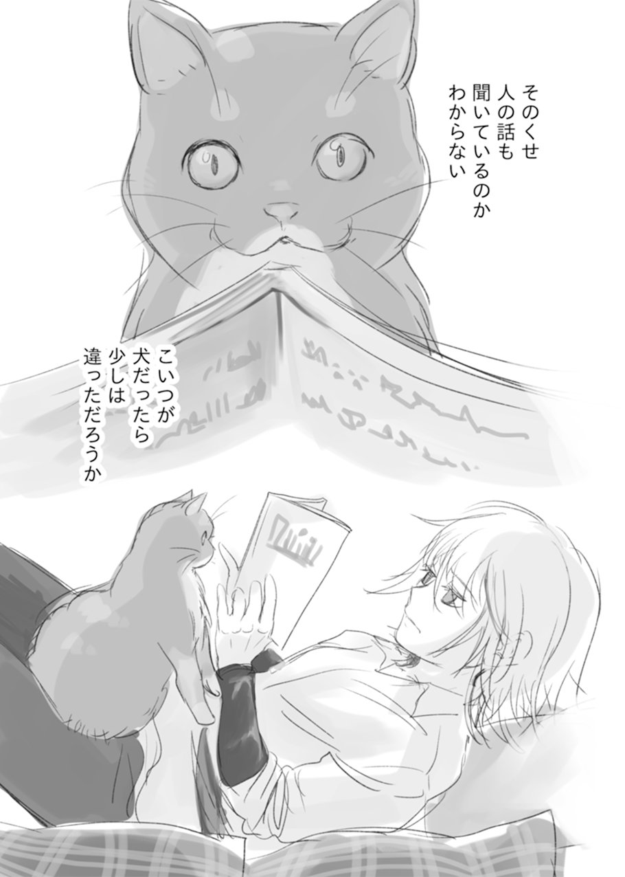 【漫画】猫と二人、終末世界で何をする？の画像
