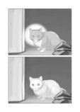 【漫画】猫と二人、終末世界で何をする？の画像
