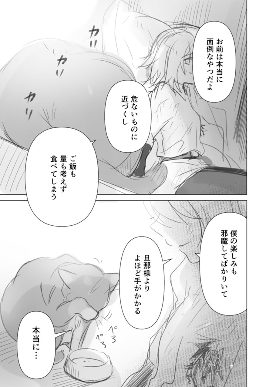 【漫画】猫と二人、終末世界で何をする？の画像