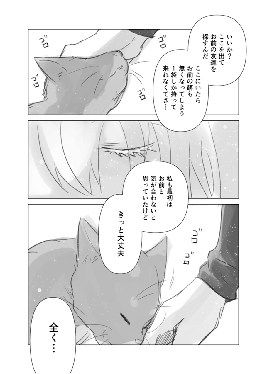 【漫画】猫と二人、終末世界で何をする？の画像