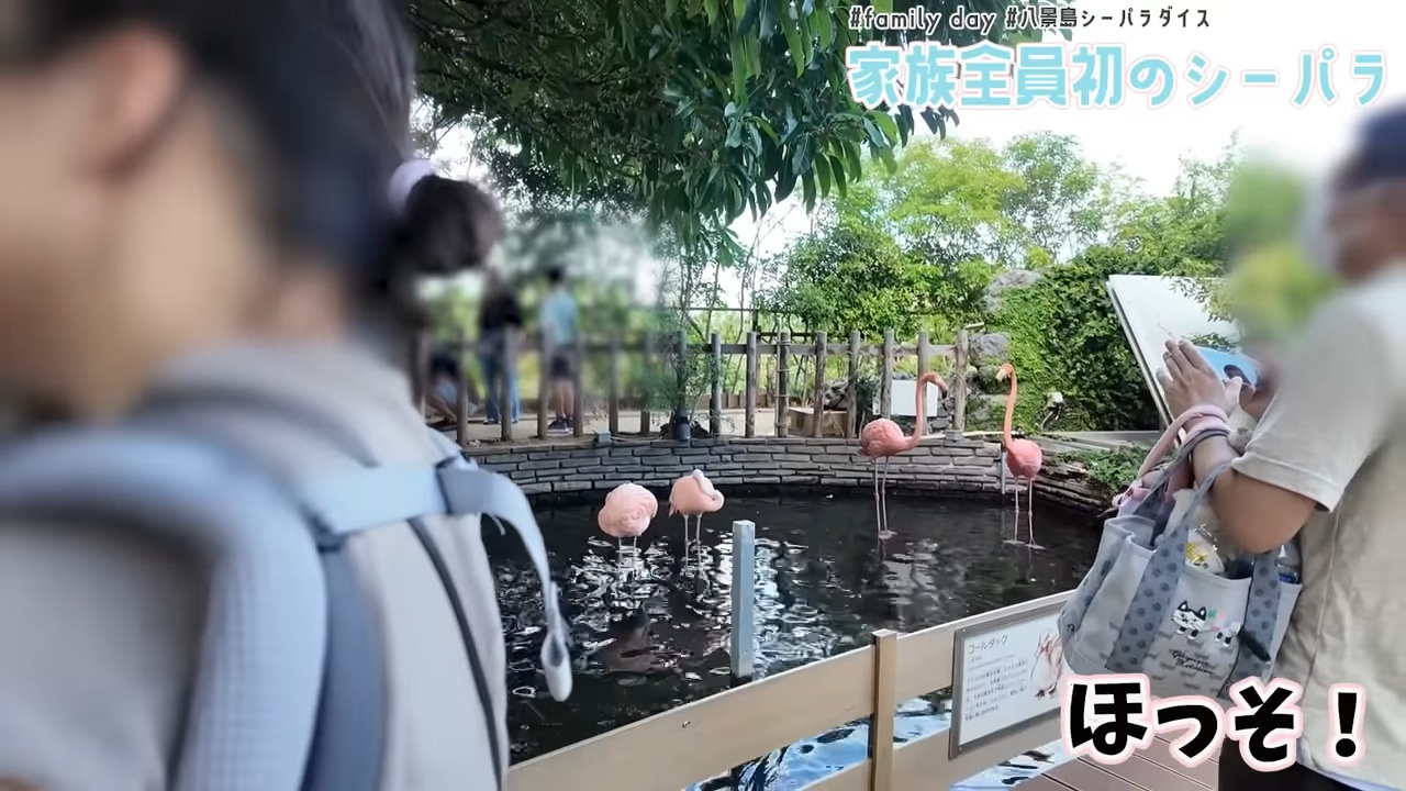 2児の母・菊地亜美、家族でシーパラへの画像