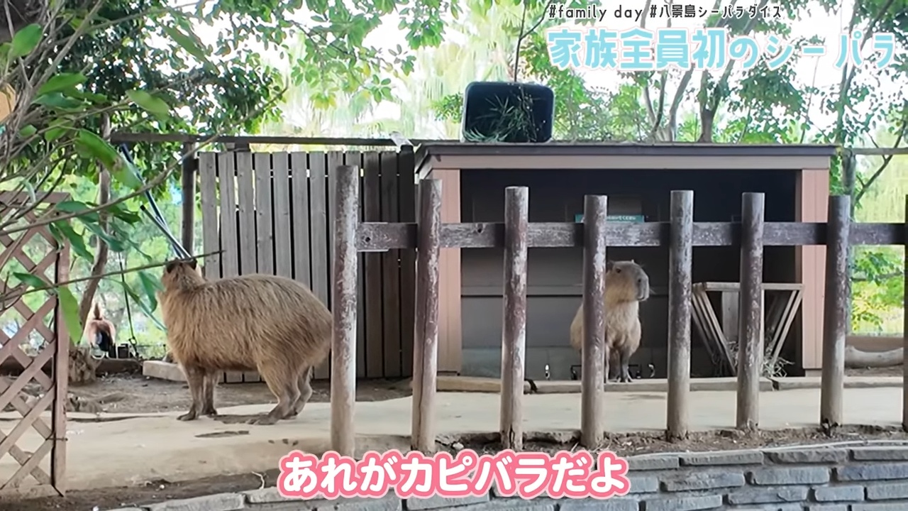 2児の母・菊地亜美、家族でシーパラへの画像