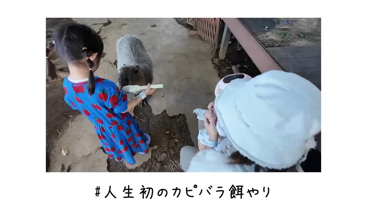 2児の母・菊地亜美、家族でシーパラへの画像