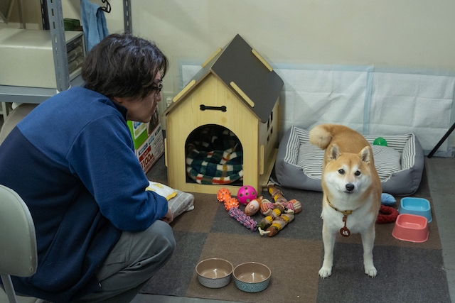 『シバのおきて』むせび泣き必至の第5回の画像