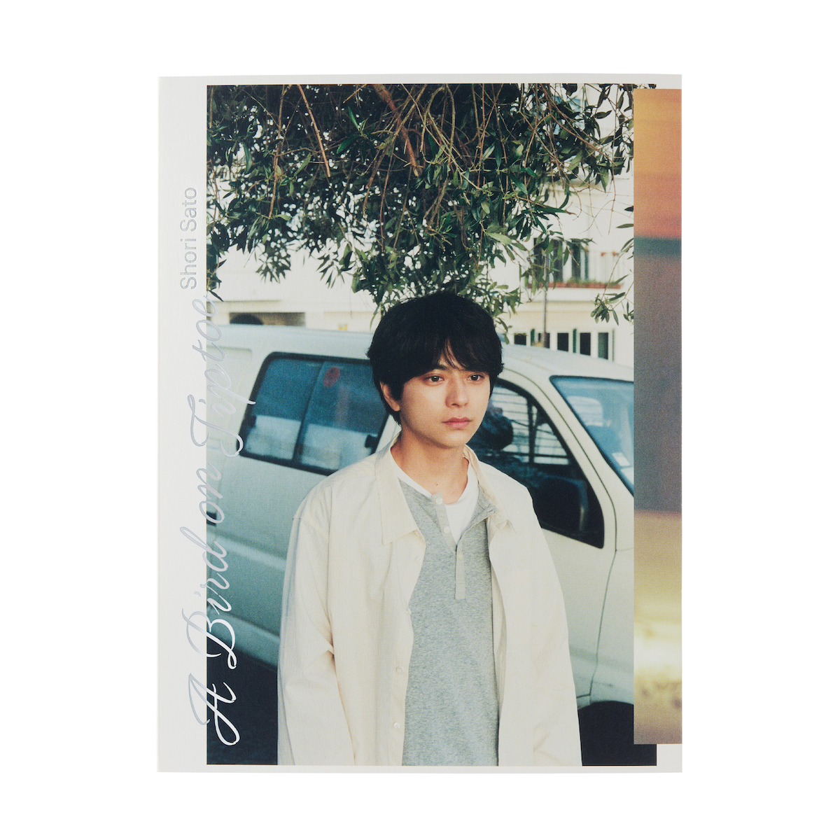 『A Bird on Tiptoe』