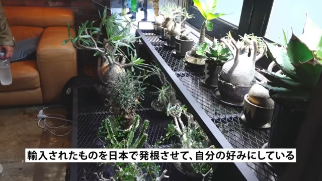 魔裟斗も興奮したバッドボーイズ佐田のガレージ