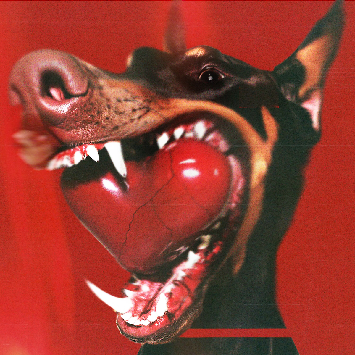 「I ♡ YOU BABY!!」ジャケット写真