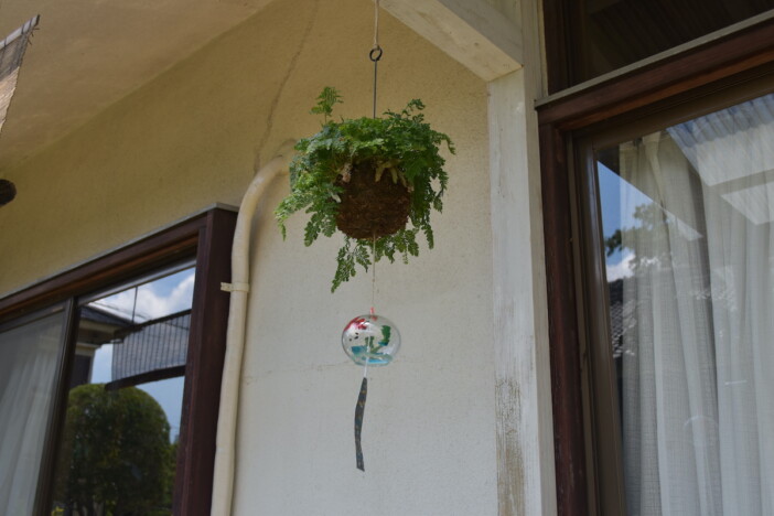 『ひらやすみ』完全実写化の“平屋”に潜入