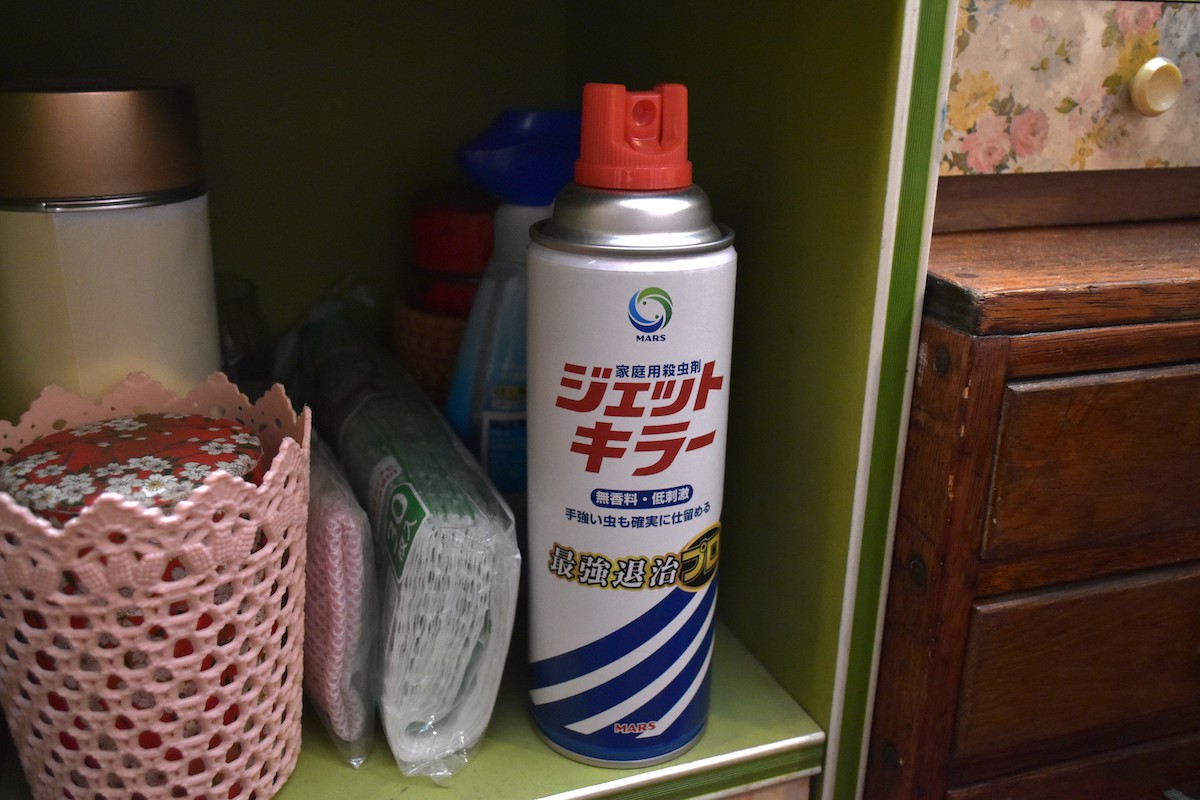 『ひらやすみ』完全実写化の“平屋”に潜入の画像