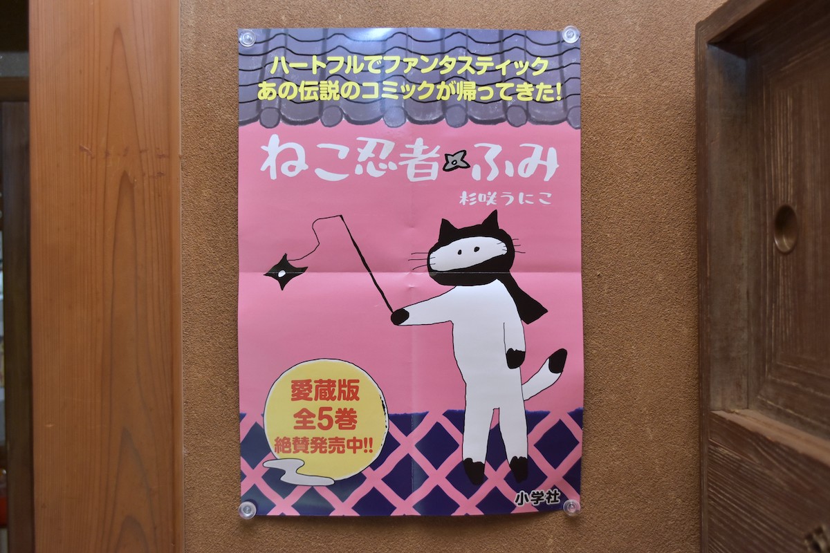 『ひらやすみ』完全実写化の“平屋”に潜入の画像