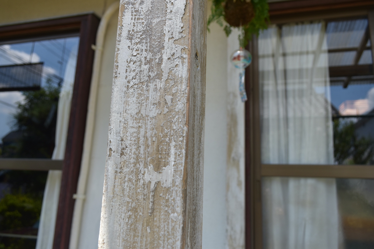 『ひらやすみ』完全実写化の“平屋”に潜入の画像