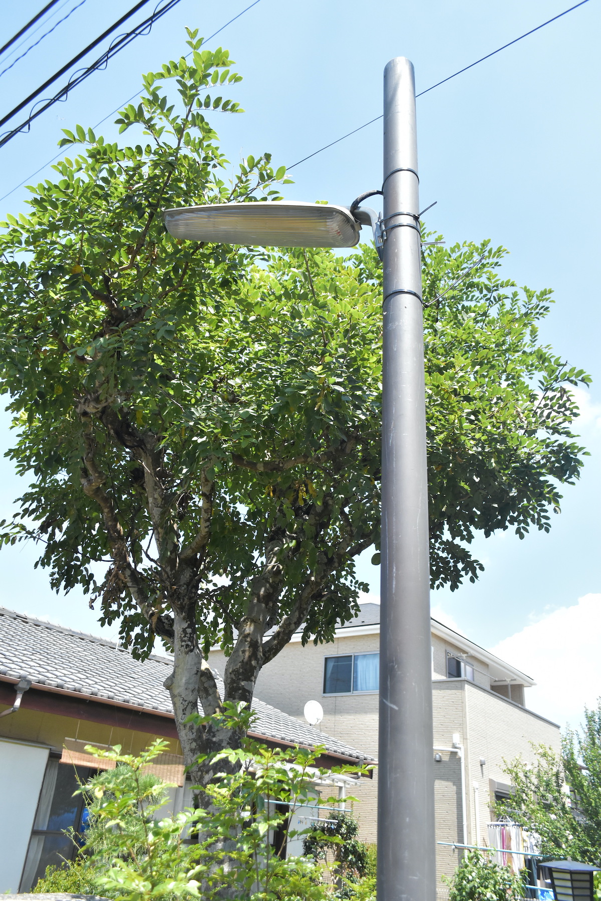 『ひらやすみ』完全実写化の“平屋”に潜入の画像