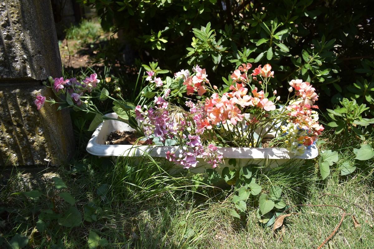 『ひらやすみ』完全実写化の“平屋”に潜入の画像