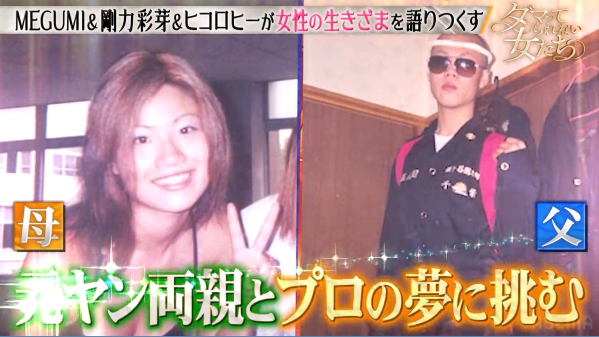 愛沢えみりの6億円の豪邸