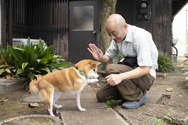 『ちょっとだけエスパー』は愛を教えてくれるの画像