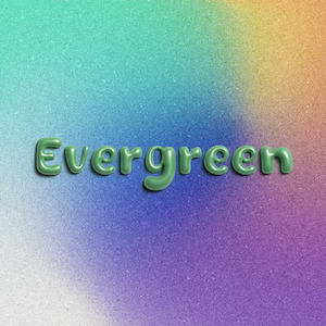 『Evergreen』