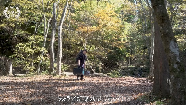 ソロキャンプを楽しむ青木マッチョ