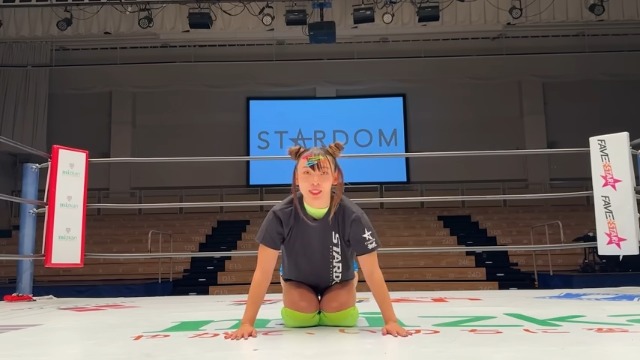 活動休止中のフワちゃんの様子