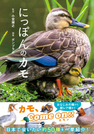 元上野動物園園長が解説『にっぽんのカモ』
