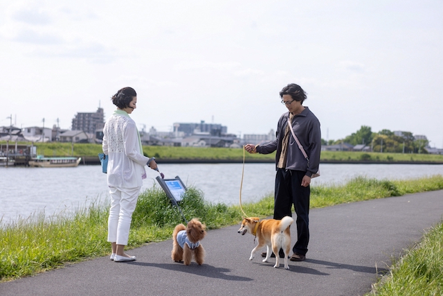 『シバのおきて』柄本時生の柴犬声も抜群の画像
