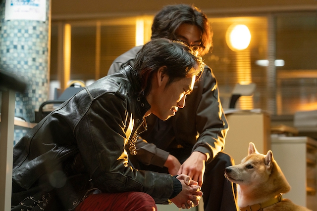 『シバのおきて』柄本時生の柴犬声も抜群の画像