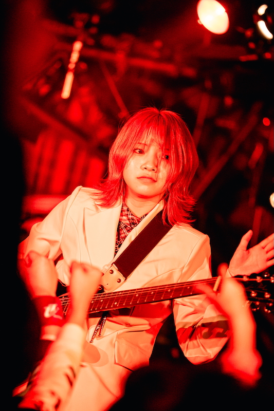 サコティッシュフォールド（Gt）