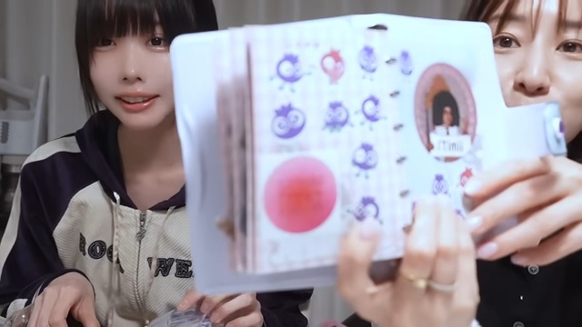 あのと田中みな実のシール手帳