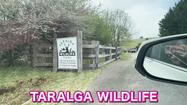 オーストラリアで動物と触れ合う仲里依紗親子