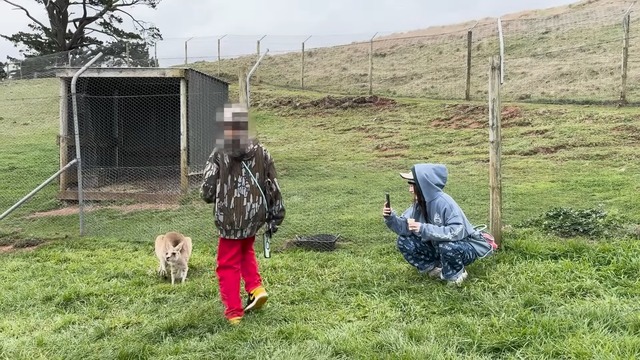 オーストラリアで動物と触れ合う仲里依紗親子