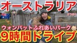 オーストラリアで動物と触れ合う仲里依紗親子