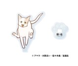 『猫と竜』ポップアップショップ開催の画像