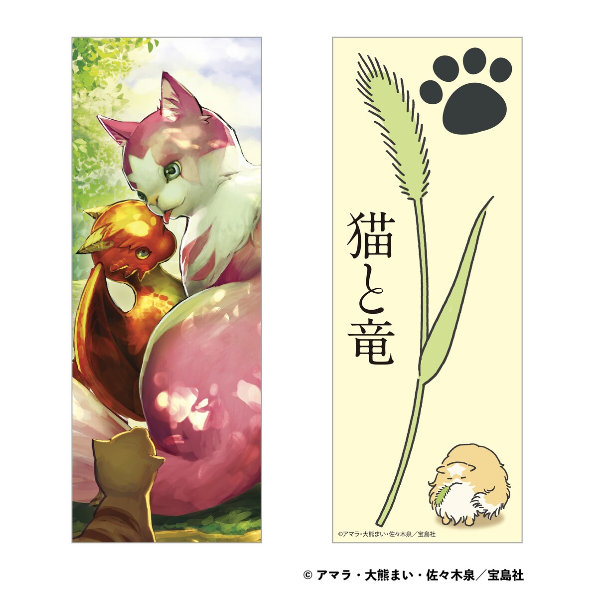 『猫と竜』ポップアップショップ開催の画像