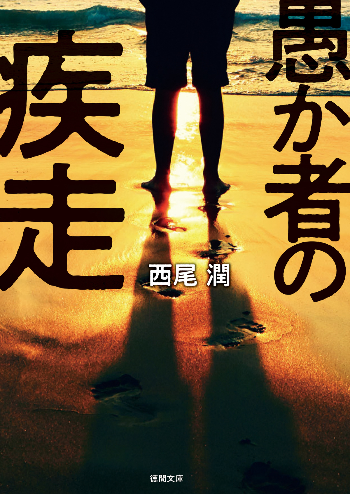 『愚か者の身分』の続編『愚か者の疾走』の画像