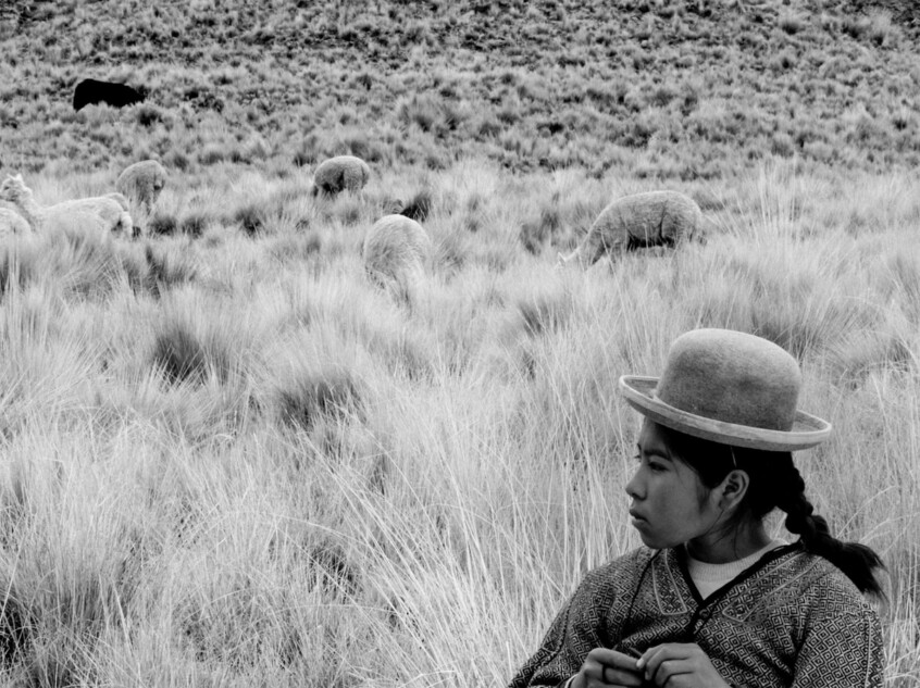 『少女はアンデスの星を見た』予告編