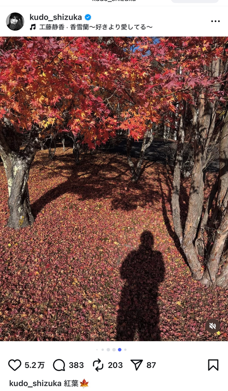 工藤静香、愛犬と紅葉を満喫の画像