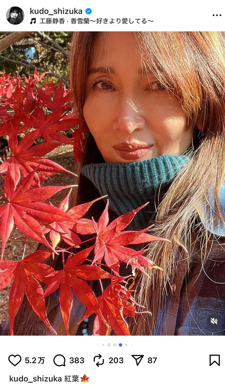 工藤静香、愛犬と紅葉を満喫の画像