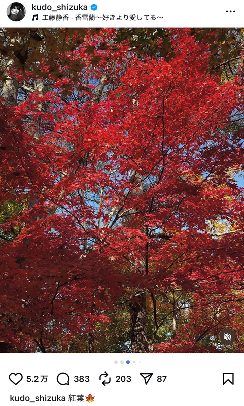 工藤静香、愛犬と紅葉を満喫の画像