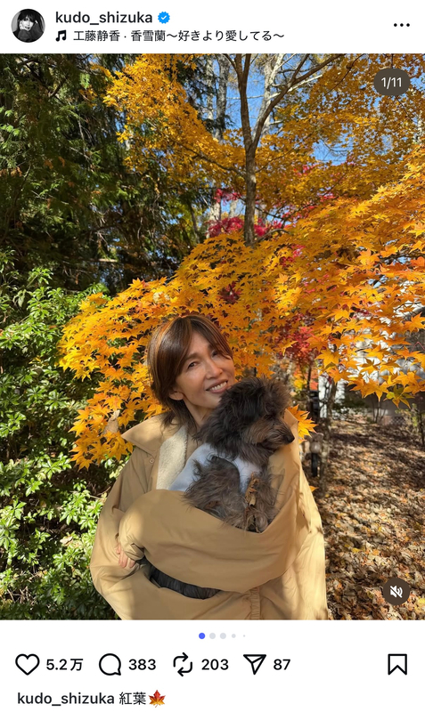 工藤静香、愛犬と紅葉を満喫の画像