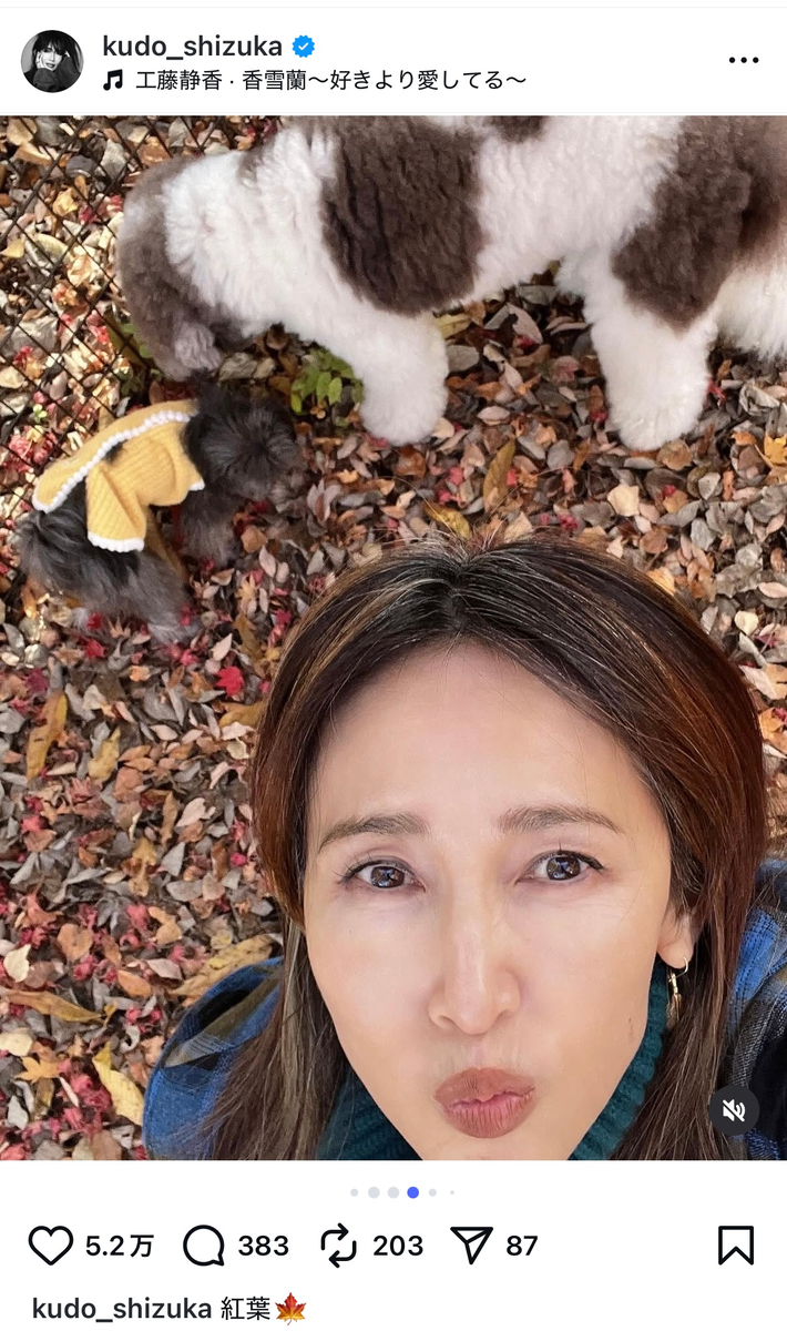 工藤静香、愛犬と紅葉を満喫の画像