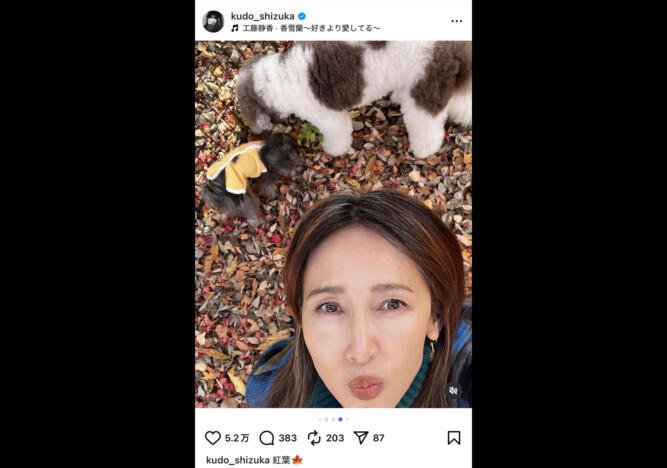 工藤静香、愛犬と紅葉を満喫