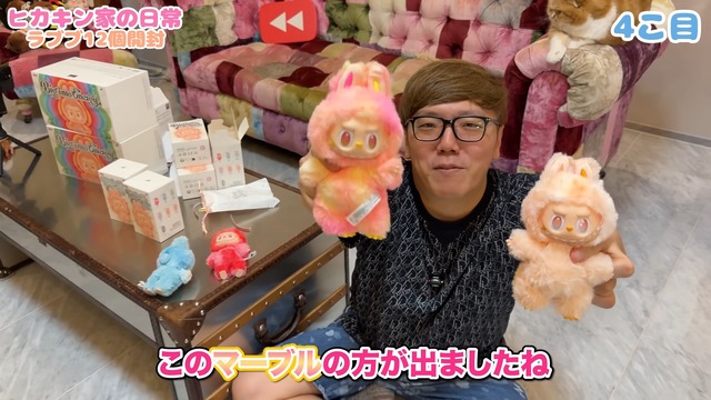 ヒカキンと娘が開封したラブブ