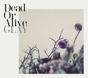 『Dead Or Alive』ジャケット