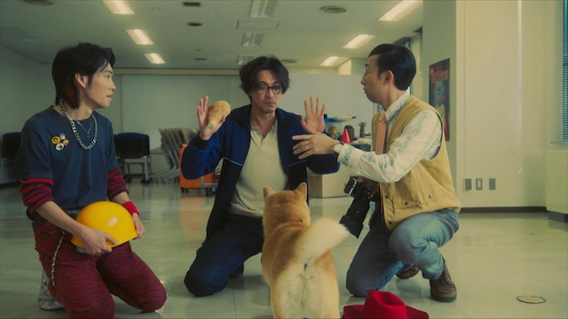 『シバのおきて』“エスパー犬”は本当？の画像